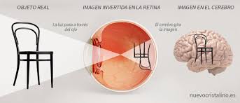 Resultado de imagen para vision del ojo