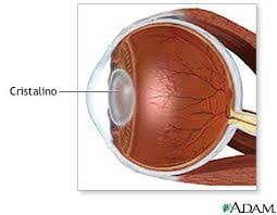 Resultado de imagen para cristalino