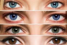 Resultado de imagen para melanina en los ojos